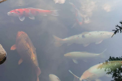 IMG-20250818-WA0012