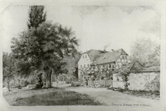 Bild-29