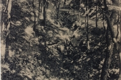 Bild-56