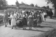 Ferienlager-Waldteich2