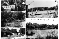 obererWaldteich