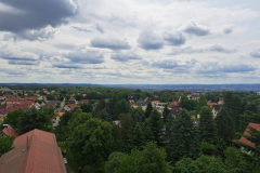 IMG-20250612-WA0005