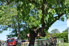 DSC_0171
